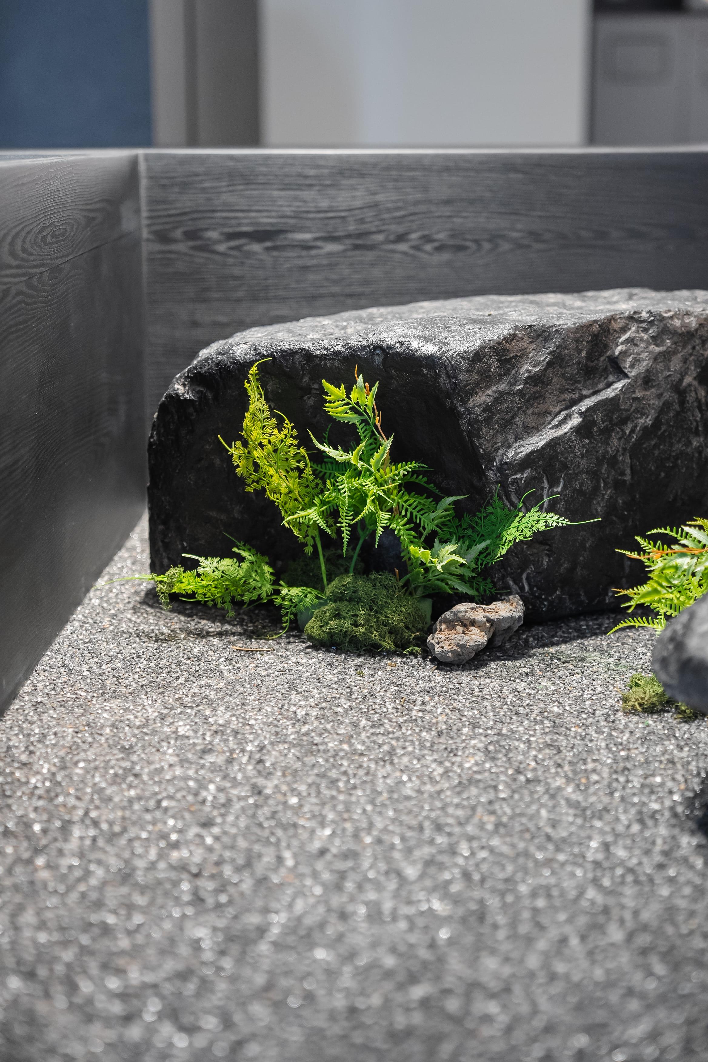 더 코나 메디스페이스 포트폴리오