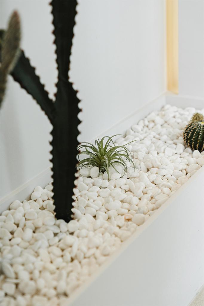 더 코나 메디스페이스 포트폴리오