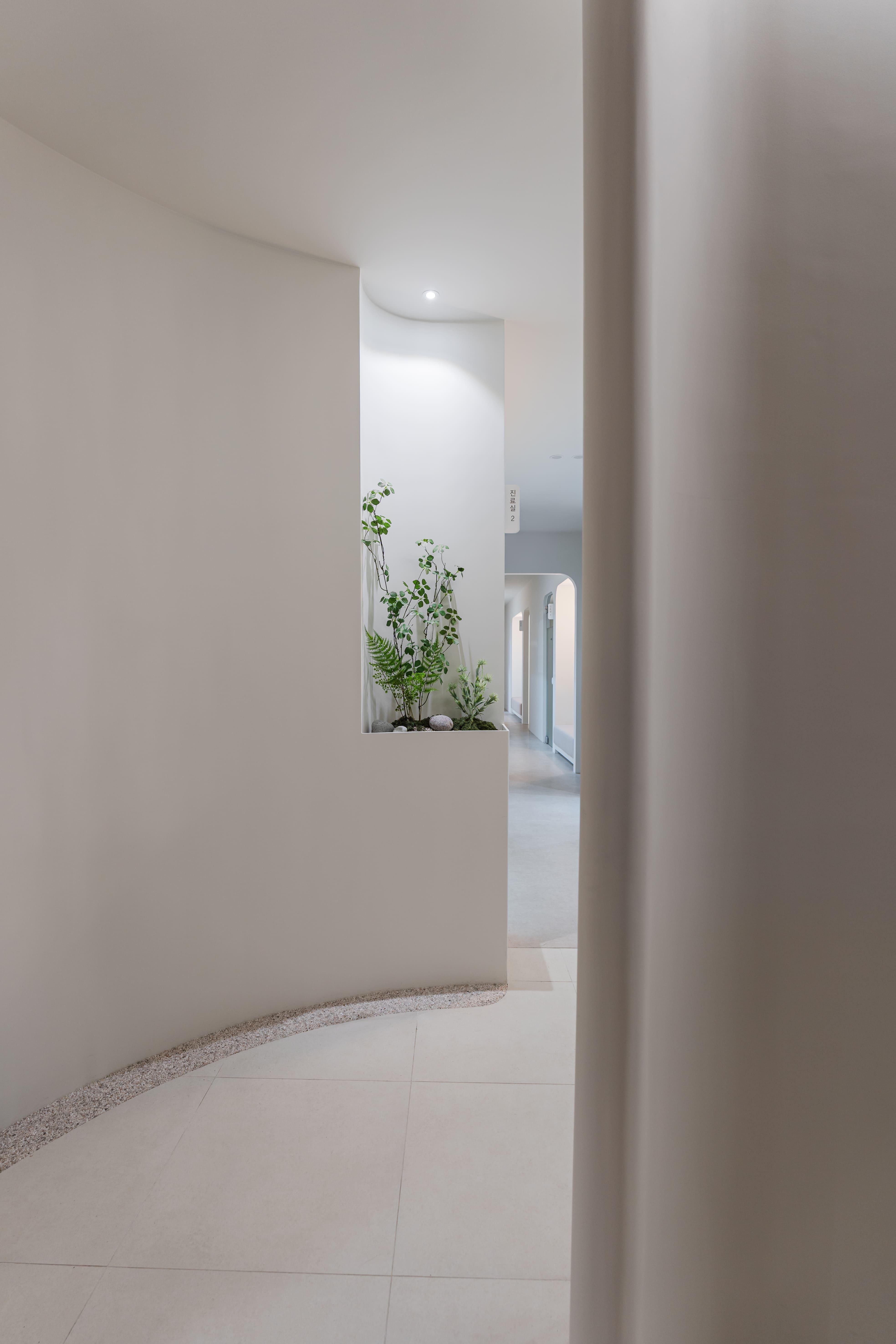 더 코나 메디스페이스 포트폴리오