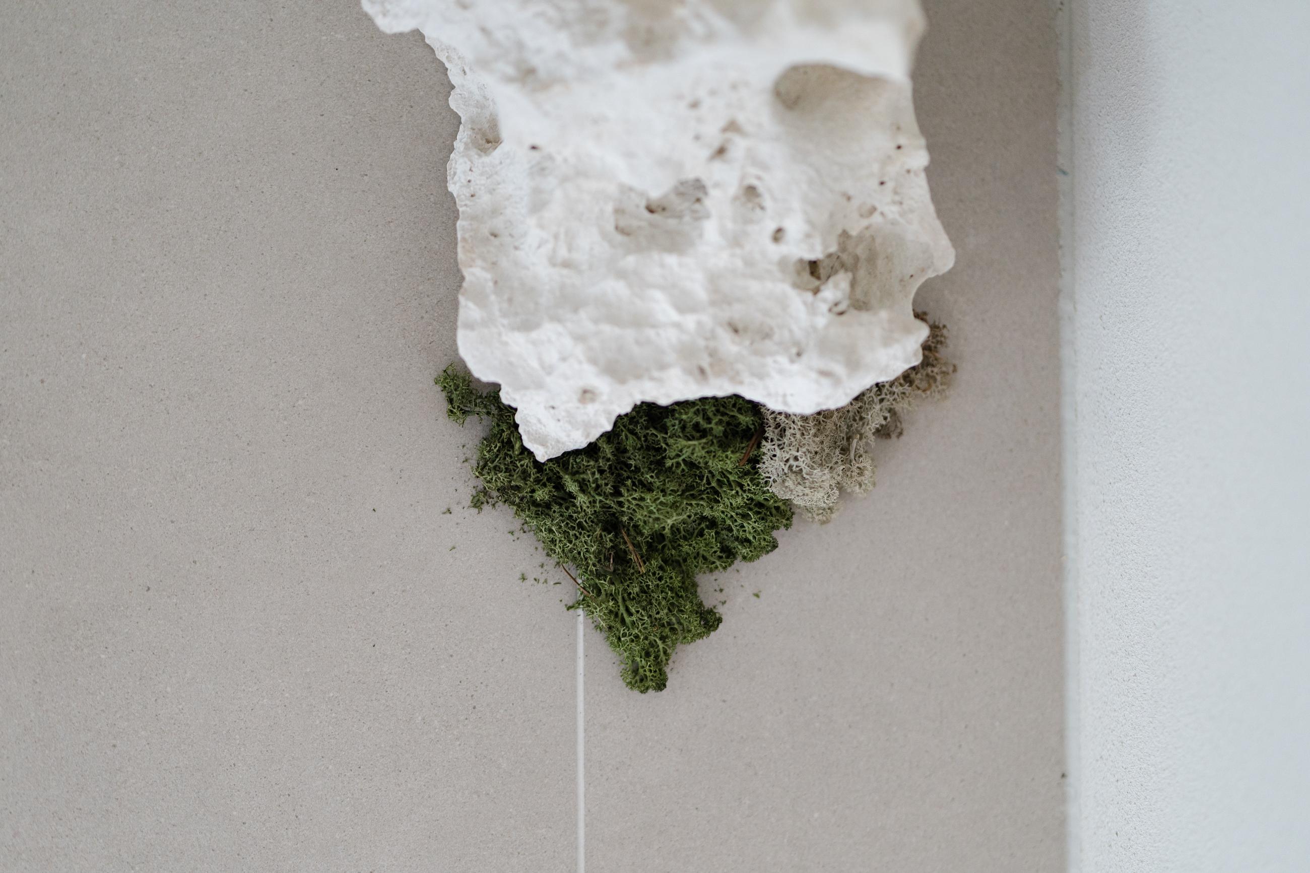 더 코나 메디스페이스 포트폴리오