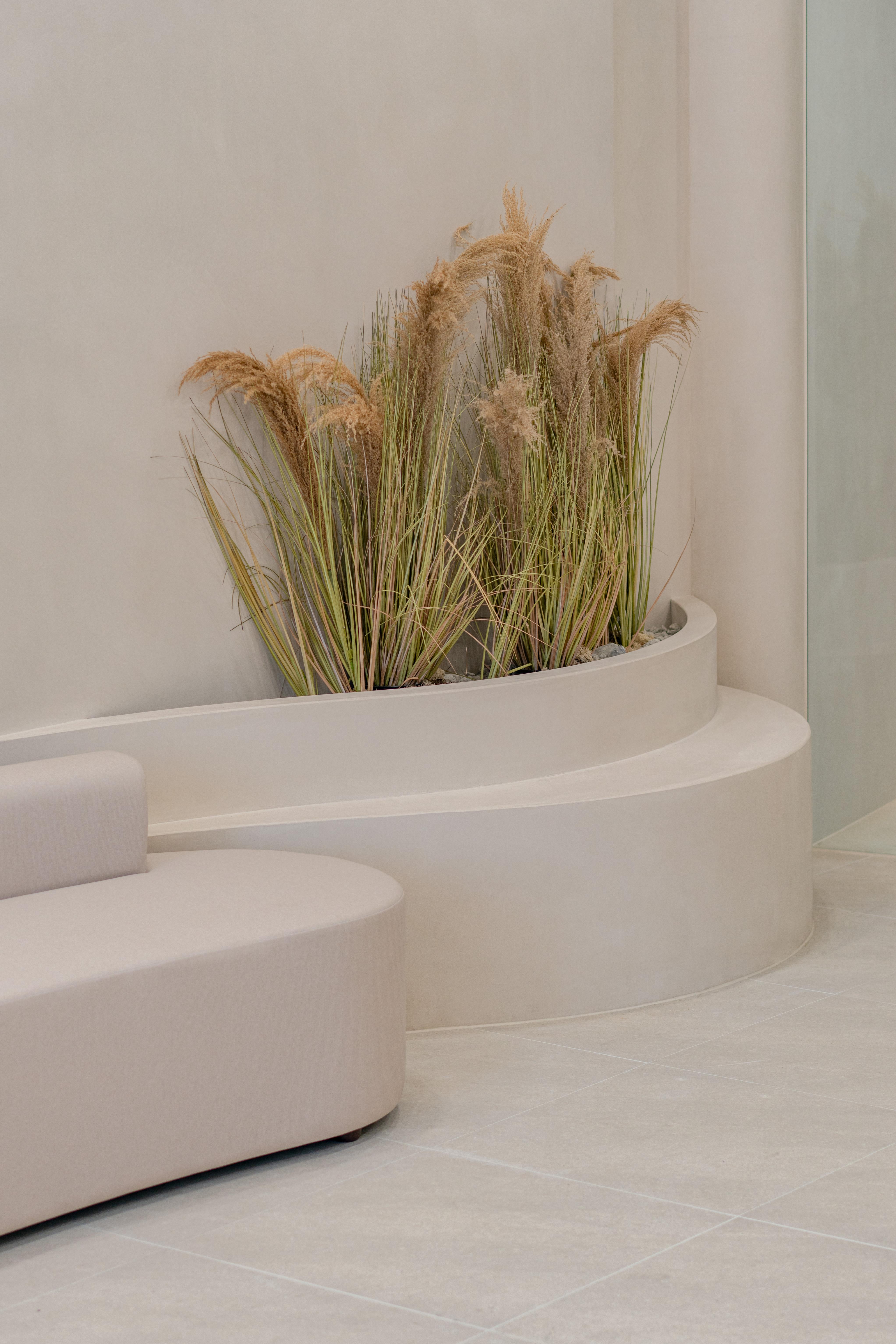 더 코나 메디스페이스 포트폴리오