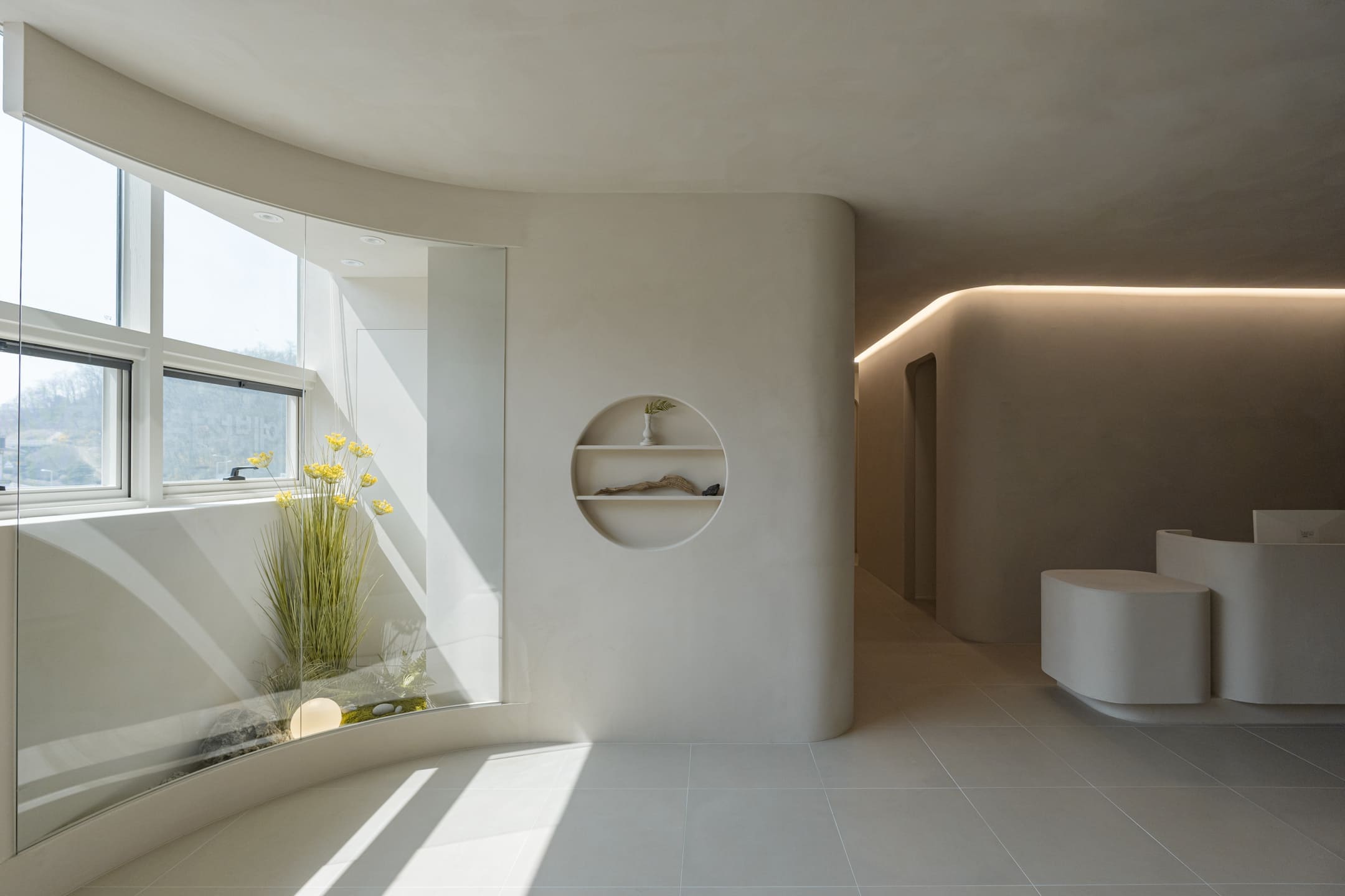 더 코나 메디스페이스 회사소개